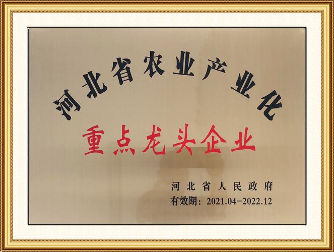 冀中药业 中药现代化的产业先锋